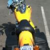 Tim Leary_Custom paint - sure does shine in the sun!